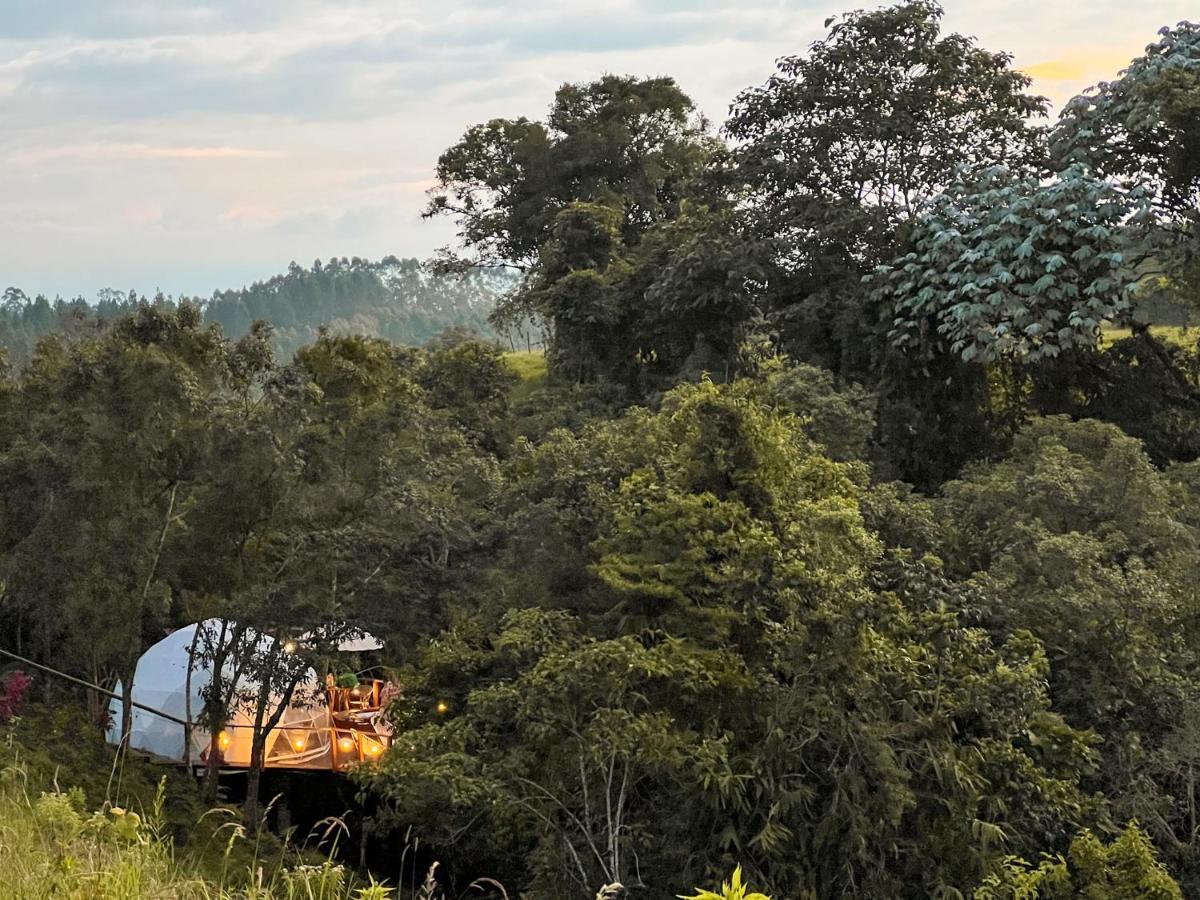 Solana Glamping Hotel Pereira Exterior photo